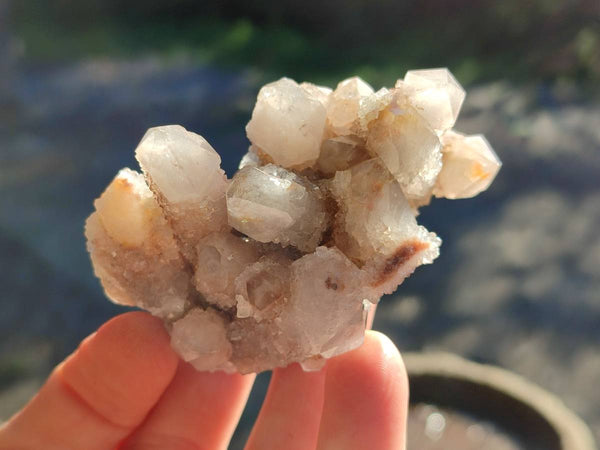 Natural Golden Limonite Fairy Spirit Quartz Clusters x 35 From Boekenhouthoek, South Africa