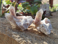 Natural Golden Limonite Fairy Spirit Quartz Clusters x 35 From Boekenhouthoek, South Africa