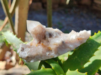 Natural Golden Limonite Fairy Spirit Quartz Clusters x 35 From Boekenhouthoek, South Africa
