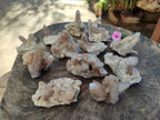 Natural Golden Limonite Fairy Spirit Quartz Clusters x 35 From Boekenhouthoek, South Africa - Toprock Gemstones and Minerals 