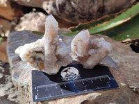 Natural Golden Limonite Fairy Spirit Quartz Clusters x 35 From Boekenhouthoek, South Africa