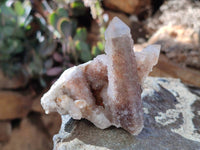 Natural Golden Limonite Fairy Spirit Quartz Clusters x 35 From Boekenhouthoek, South Africa