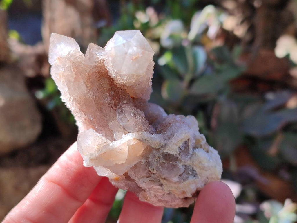 Natural Golden Limonite Fairy Spirit Quartz Clusters x 35 From Boekenhouthoek, South Africa - Toprock Gemstones and Minerals 