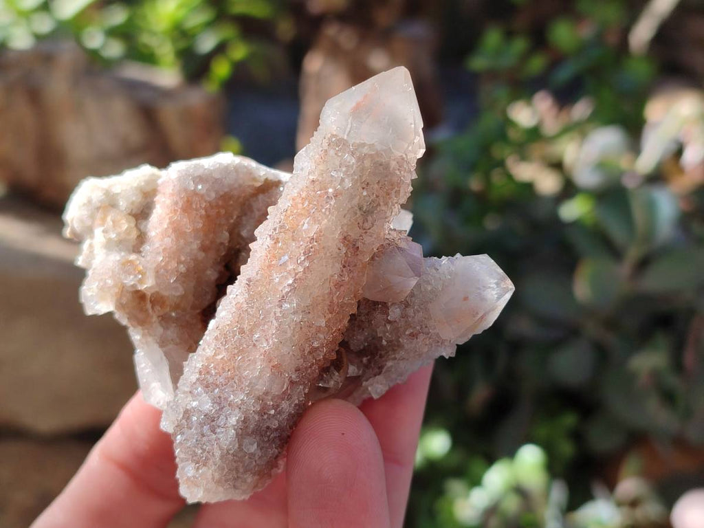 Natural Golden Limonite Fairy Spirit Quartz Clusters x 35 From Boekenhouthoek, South Africa - Toprock Gemstones and Minerals 