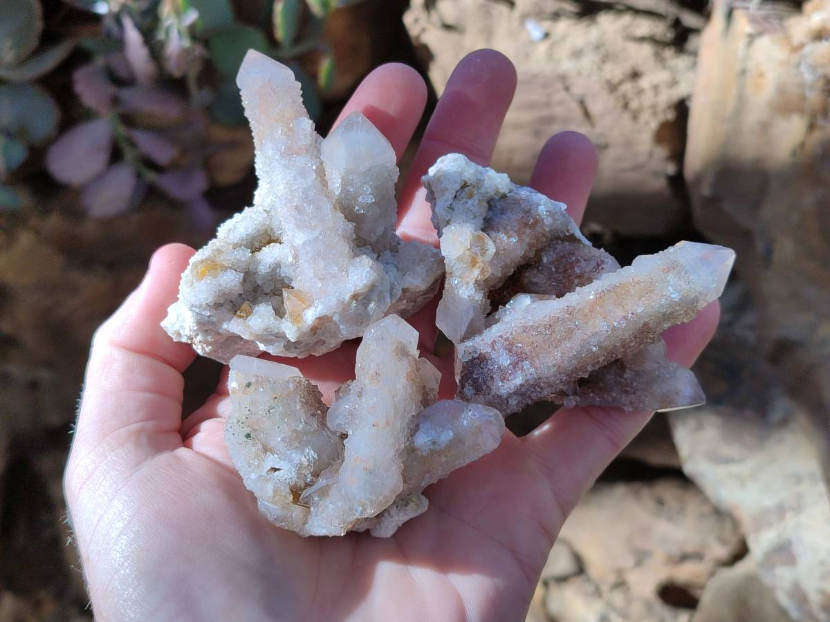 Natural Golden Limonite Fairy Spirit Quartz Clusters x 35 From Boekenhouthoek, South Africa - Toprock Gemstones and Minerals 