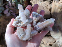 Natural Golden Limonite Fairy Spirit Quartz Clusters x 35 From Boekenhouthoek, South Africa