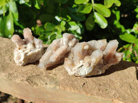 Natural Golden Limonite Fairy Spirit Quartz Clusters x 35 From Boekenhouthoek, South Africa