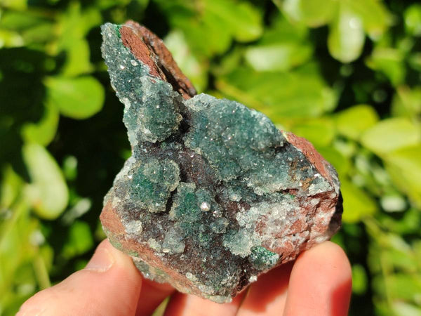 Natural Ball Malachite On Dolomite Matrix Specimens x 6 From Kambove, Congo