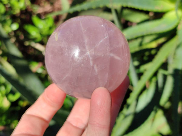 Polished Rose Quartz Spheres x 4 Madagascar