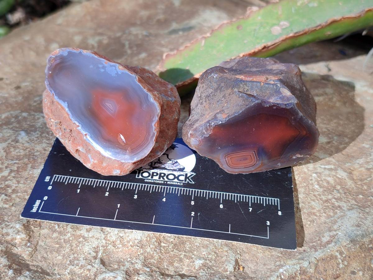 Polished On One Side Red Sashe River Agate Nodules x 20 From Zimbabwe - Toprock Gemstones and Minerals 