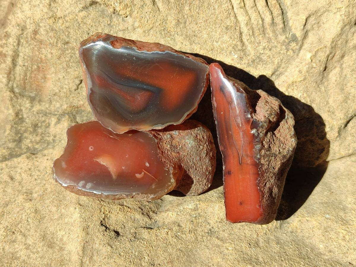 Polished On One Side Red Sashe River Agate Nodules x 20 From Zimbabwe - Toprock Gemstones and Minerals 