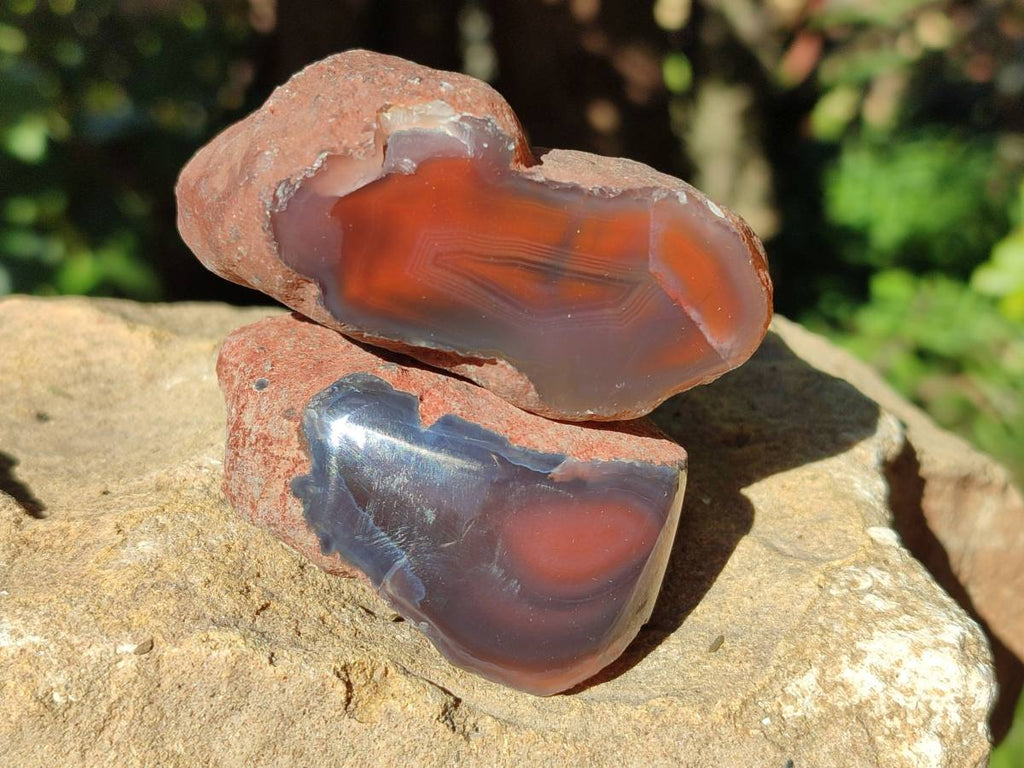 Polished On One Side Red Sashe River Agate Nodules x 20 From Zimbabwe - Toprock Gemstones and Minerals 