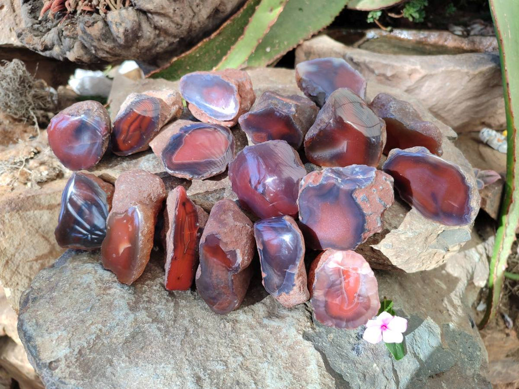 Polished On One Side Red Sashe River Agate Nodules x 20 From Zimbabwe - Toprock Gemstones and Minerals 