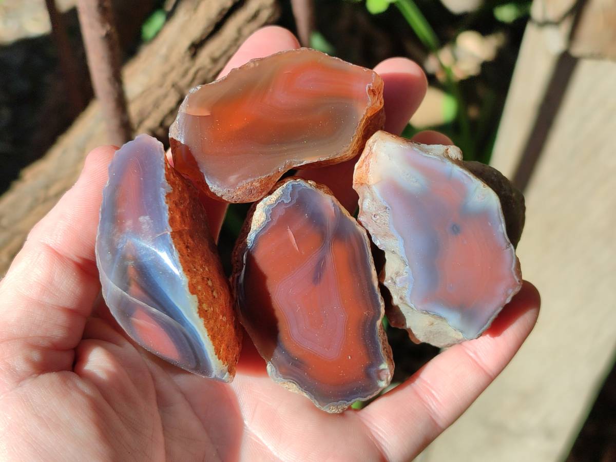 Polished On One Side Red Sashe River Agate Nodules x 20 From Zimbabwe - Toprock Gemstones and Minerals 