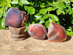 Polished On One Side Red Sashe River Agate Nodules x 20 From Zimbabwe - Toprock Gemstones and Minerals 