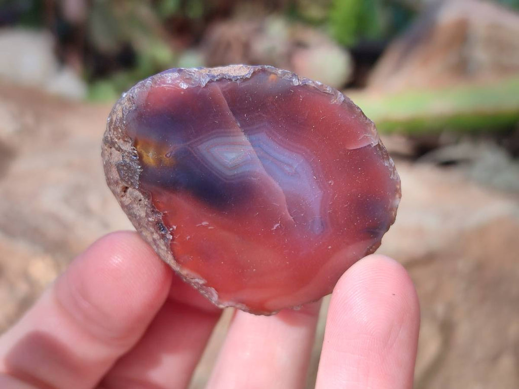 Polished On One Side Red Sashe River Agate Nodules x 20 From Zimbabwe - Toprock Gemstones and Minerals 
