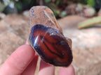Polished On One Side Red Sashe River Agate Nodules x 20 From Zimbabwe - Toprock Gemstones and Minerals 