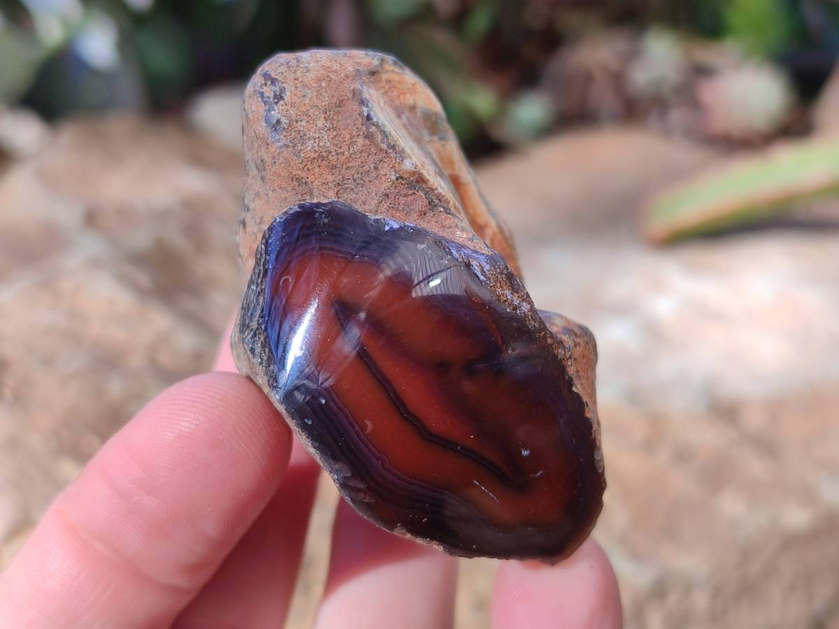 Polished On One Side Red Sashe River Agate Nodules x 20 From Zimbabwe - Toprock Gemstones and Minerals 