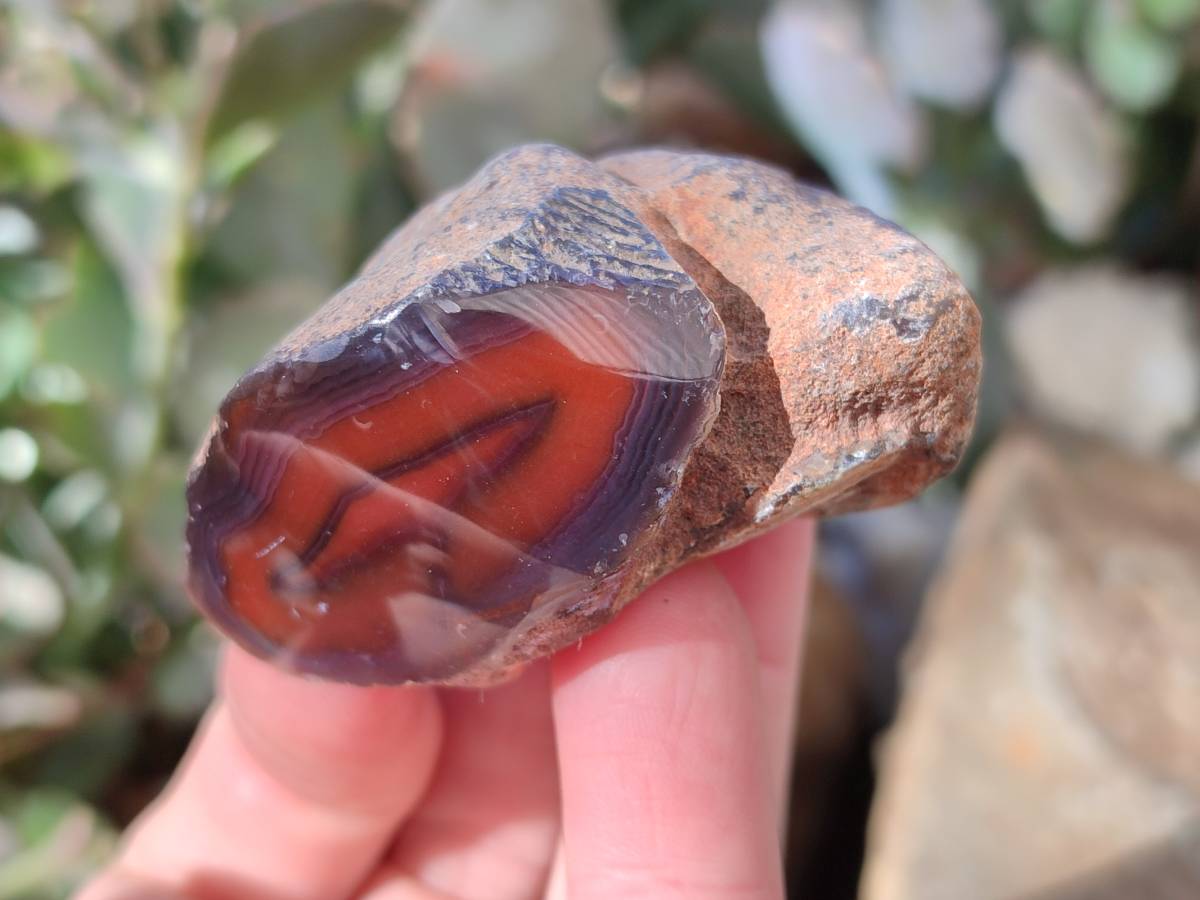 Polished On One Side Red Sashe River Agate Nodules x 20 From Zimbabwe - Toprock Gemstones and Minerals 