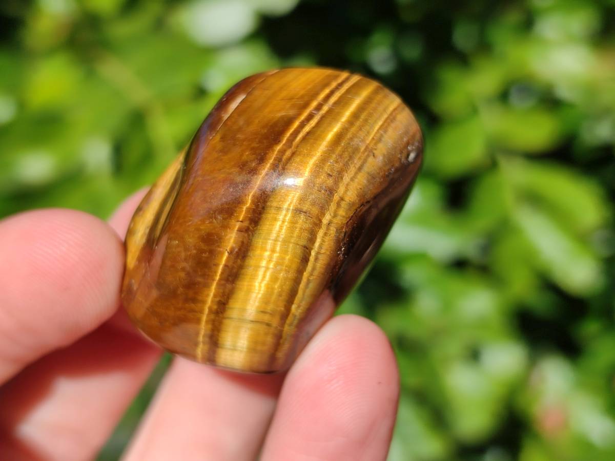 Polished Tiger's Eye Tumbled Stones x 35 From Prieska, South Africa - Toprock Gemstones and Minerals 