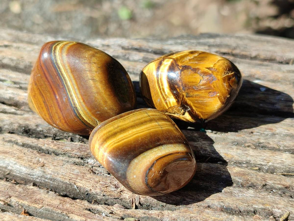 Polished Tiger's Eye Tumbled Stones x 35 From Prieska, South Africa - Toprock Gemstones and Minerals 