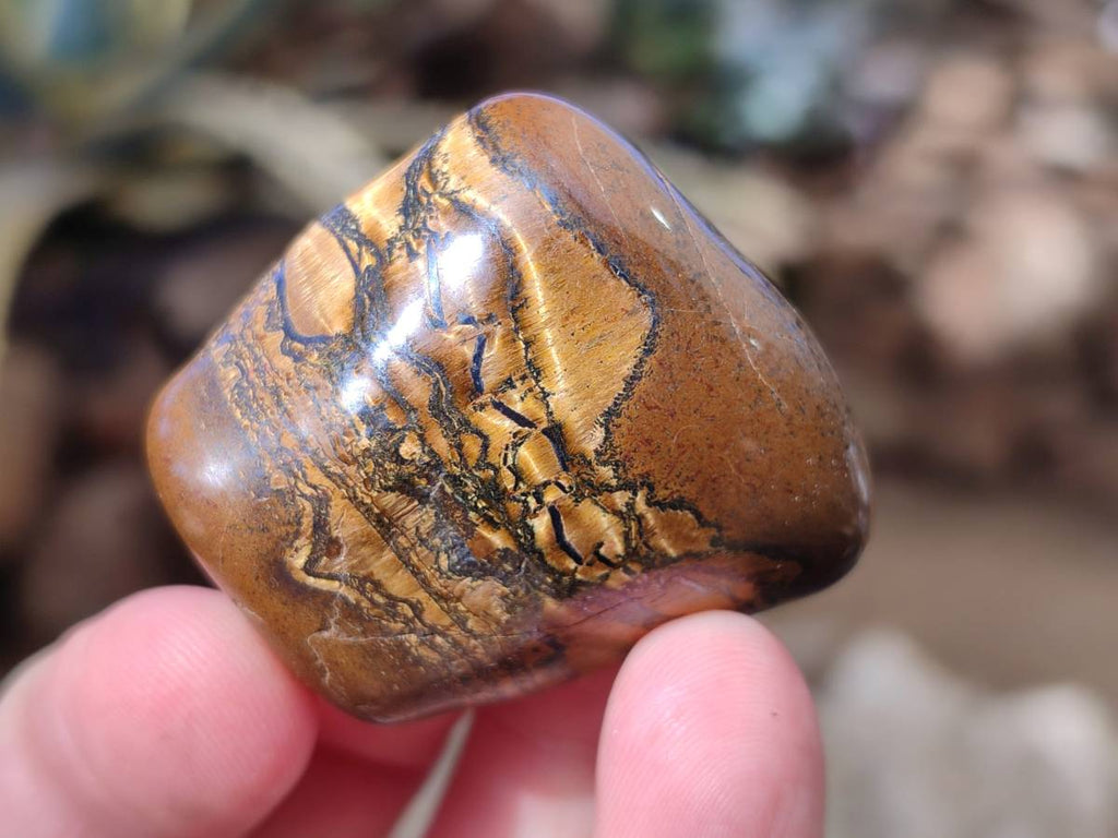 Polished Tiger's Eye Tumbled Stones x 35 From Prieska, South Africa - Toprock Gemstones and Minerals 