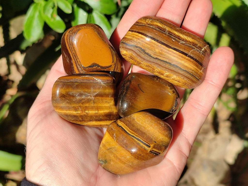Polished Tiger's Eye Tumbled Stones x 35 From Prieska, South Africa - Toprock Gemstones and Minerals 