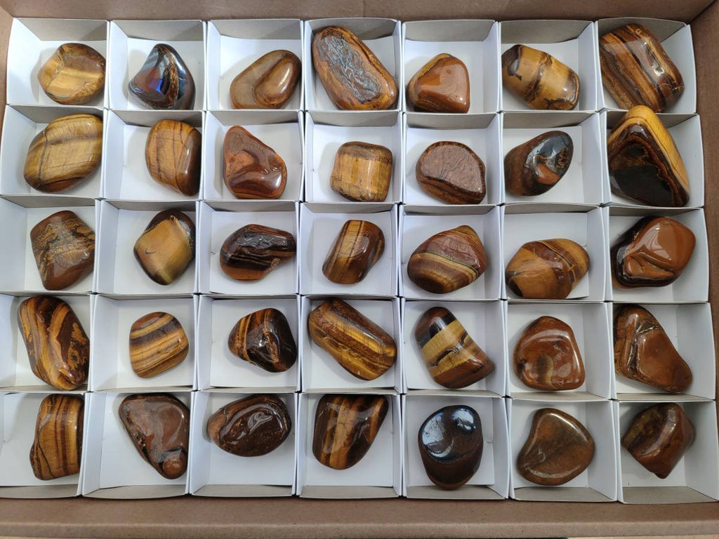 Polished Tiger's Eye Tumbled Stones x 35 From Prieska, South Africa - Toprock Gemstones and Minerals 