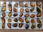 Polished Tiger's Eye Tumbled Stones x 35 From Prieska, South Africa - Toprock Gemstones and Minerals 