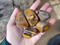 Polished Tiger's Eye Tumbled Stones x 35 From Prieska, South Africa - Toprock Gemstones and Minerals 