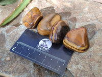 Polished Tiger's Eye Tumbled Stones x 35 From Prieska, South Africa - Toprock Gemstones and Minerals 