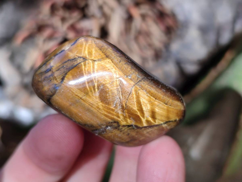 Polished Tiger's Eye Tumbled Stones x 35 From Prieska, South Africa - Toprock Gemstones and Minerals 