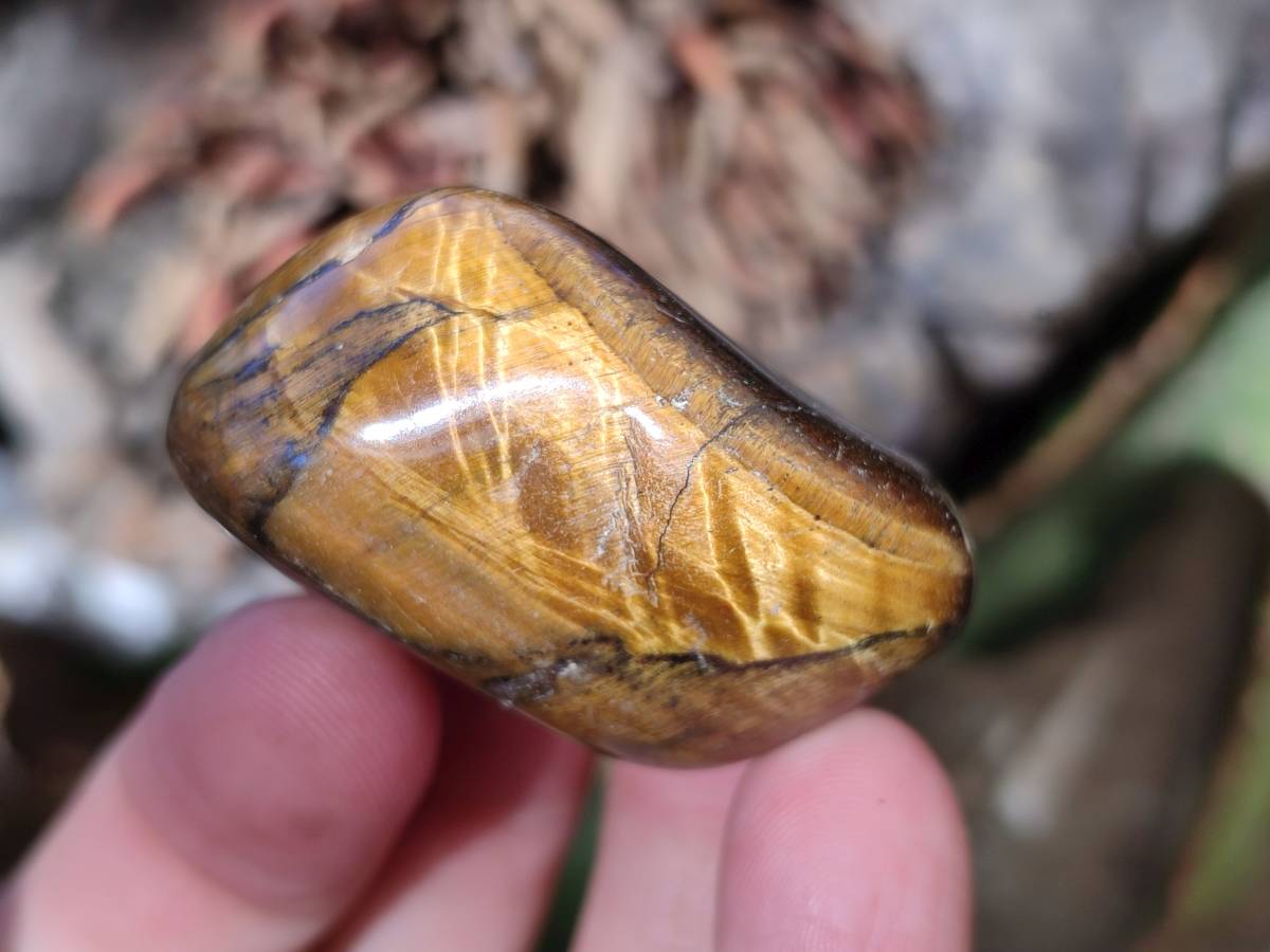 Polished Tiger's Eye Tumbled Stones x 35 From Prieska, South Africa - Toprock Gemstones and Minerals 