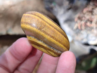Polished Tiger's Eye Tumbled Stones x 35 From Prieska, South Africa - Toprock Gemstones and Minerals 