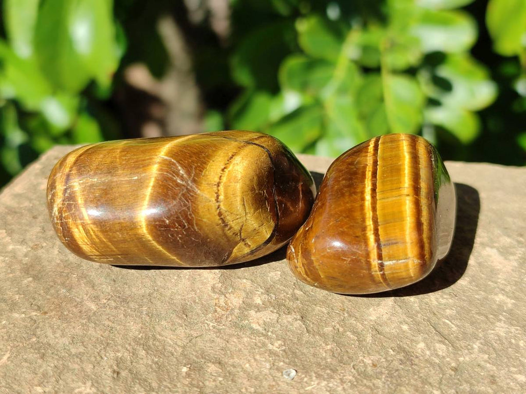 Polished Tiger's Eye Tumbled Stones x 35 From Prieska, South Africa - Toprock Gemstones and Minerals 