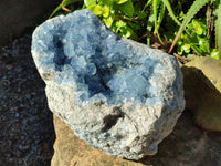 Natura Celestite Geode Specimen x 1 From Sakoany, Madagascar - Toprock Gemstones and Minerals 