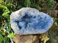 Natura Celestite Geode Specimen x 1 From Sakoany, Madagascar - Toprock Gemstones and Minerals 