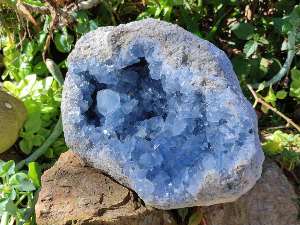 Natura Celestite Geode Specimen x 1 From Sakoany, Madagascar - Toprock Gemstones and Minerals 