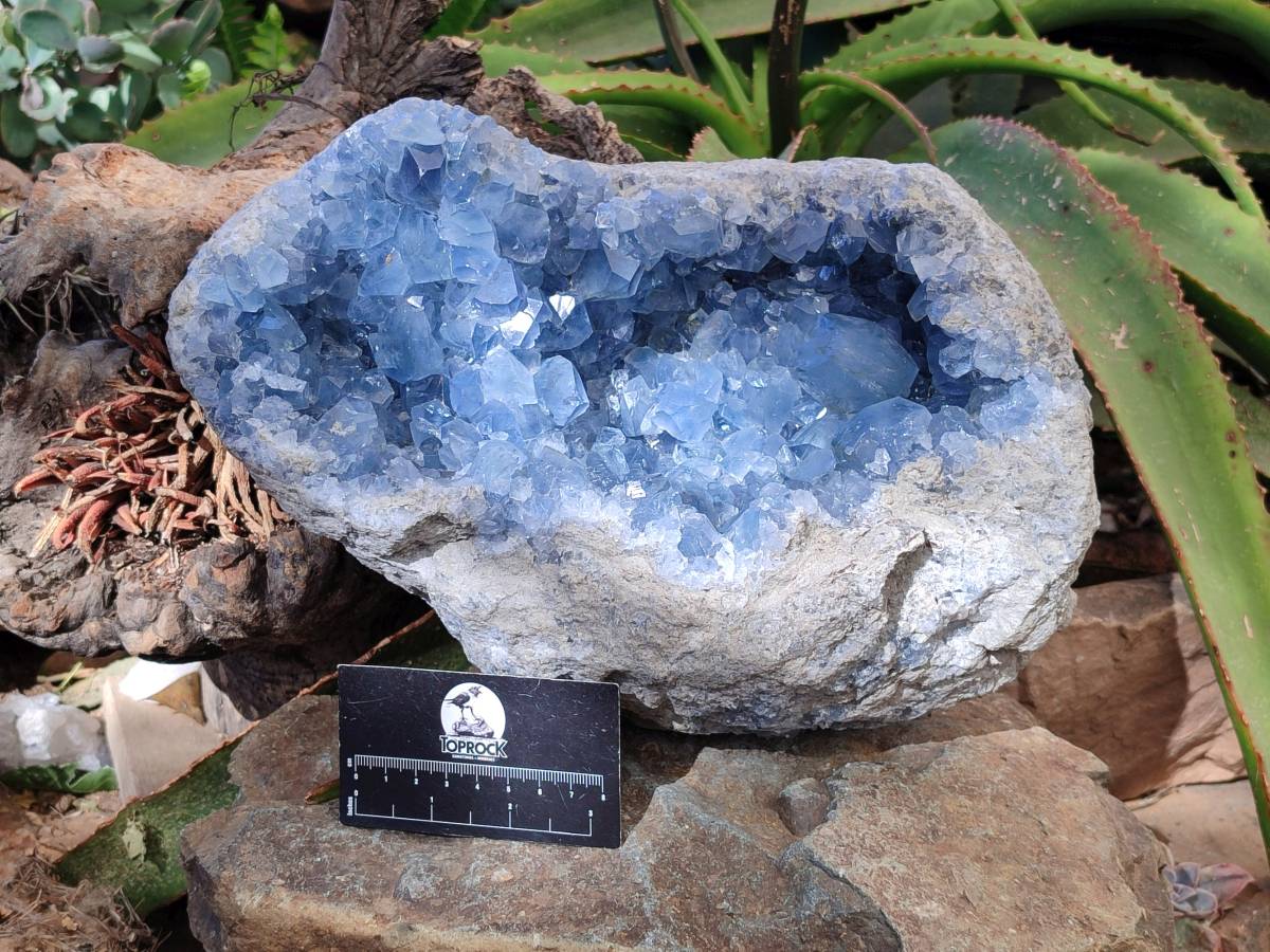 Natura Celestite Geode Specimen x 1 From Sakoany, Madagascar - Toprock Gemstones and Minerals 