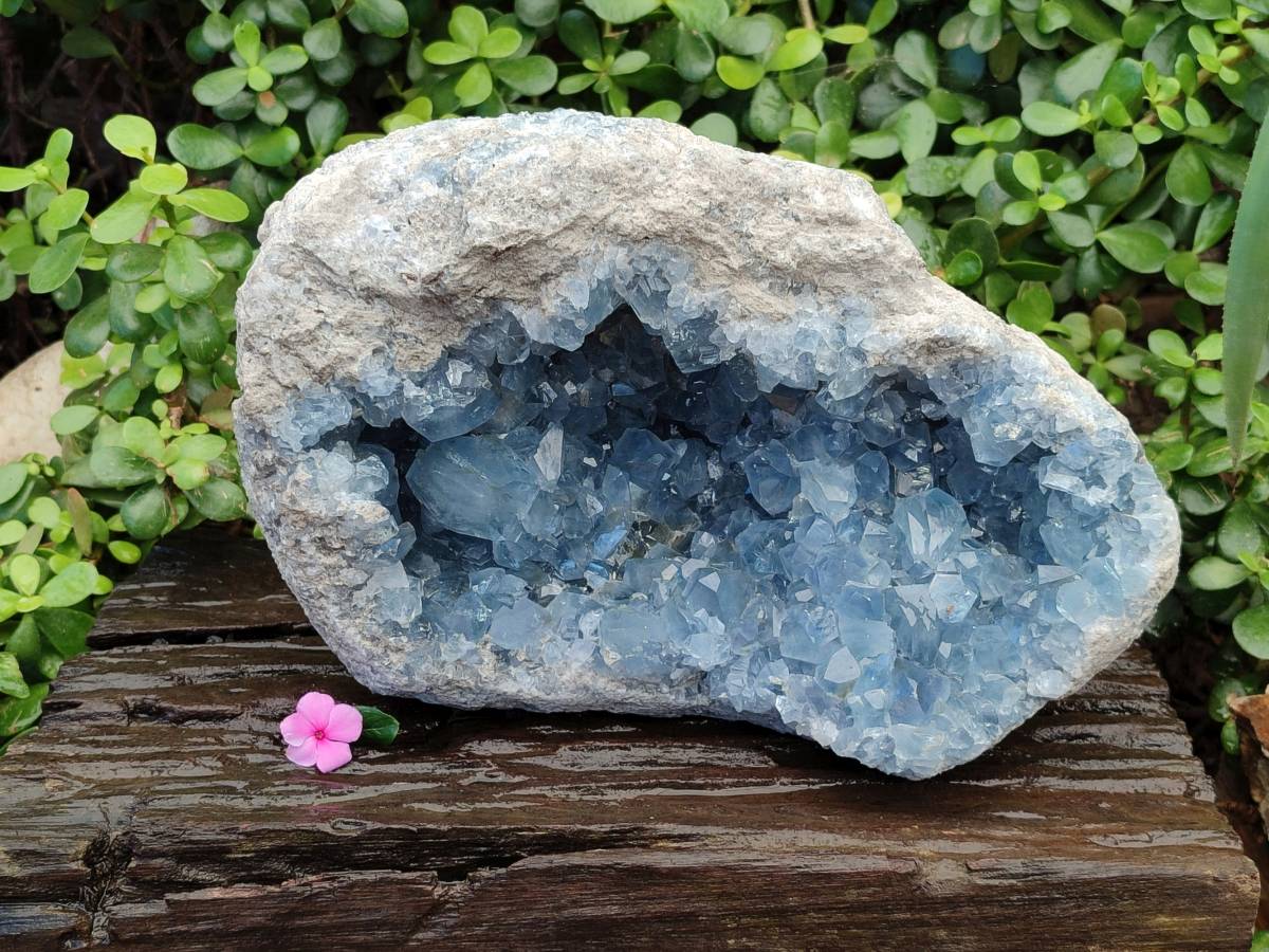 Natura Celestite Geode Specimen x 1 From Sakoany, Madagascar - Toprock Gemstones and Minerals 