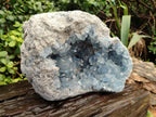 Natura Celestite Geode Specimen x 1 From Sakoany, Madagascar - Toprock Gemstones and Minerals 