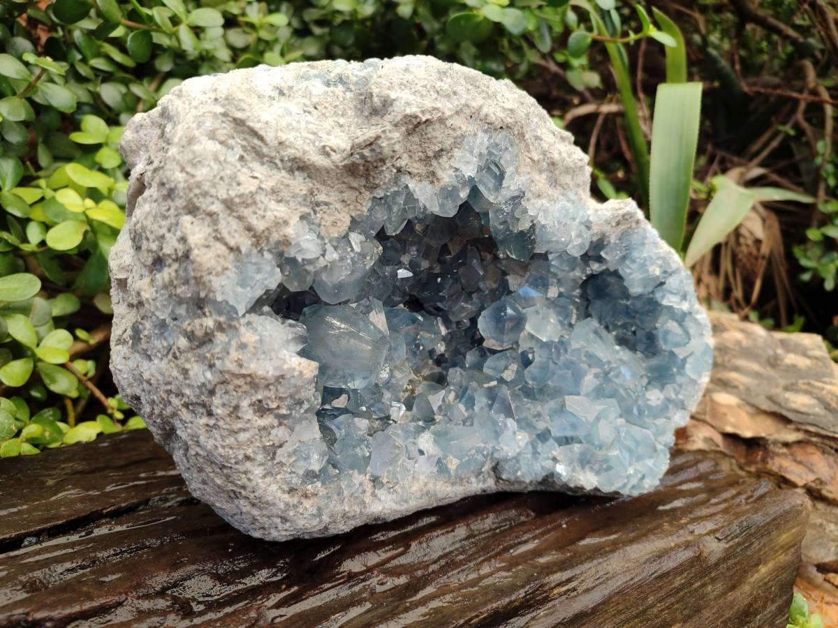 Natura Celestite Geode Specimen x 1 From Sakoany, Madagascar - Toprock Gemstones and Minerals 
