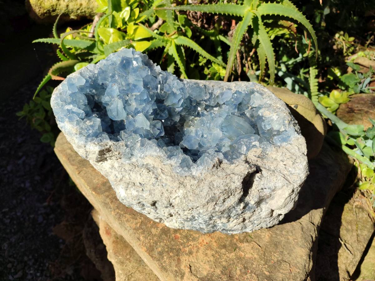 Natura Celestite Geode Specimen x 1 From Sakoany, Madagascar - Toprock Gemstones and Minerals 