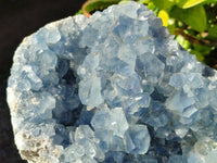 Natura Celestite Geode Specimen x 1 From Sakoany, Madagascar - Toprock Gemstones and Minerals 