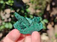 Natural Silky Crystalline Malachite Blade Pseudomorphs after Azurite Specimens x 22 From Tenke Fungurume, Congo