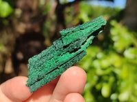 Natural Silky Crystalline Malachite Blade Pseudomorphs after Azurite Specimens x 22 From Tenke Fungurume, Congo