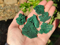 Natural Silky Crystalline Malachite Blade Pseudomorphs after Azurite Specimens x 22 From Tenke Fungurume, Congo