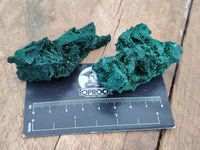 Natural Silky Crystalline Malachite Blade Pseudomorphs after Azurite Specimens x 22 From Tenke Fungurume, Congo