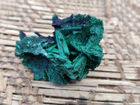 Natural Silky Crystalline Malachite Blade Pseudomorphs after Azurite Specimens x 22 From Tenke Fungurume, Congo