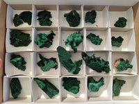 Natural Silky Crystalline Malachite Blade Pseudomorphs after Azurite Specimens x 22 From Tenke Fungurume, Congo